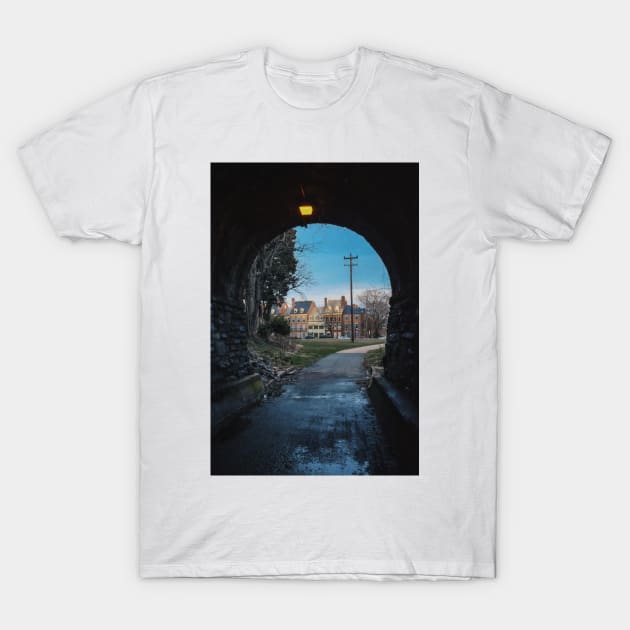 Alexandria Virginia T-Shirt by igjustin